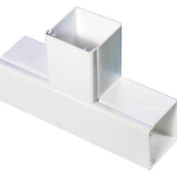 Simin-Alborz-50x105-Trunk-Tee