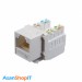 کیستون CAT5 UTP نگزنس