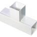 Simin-Alborz-50x105-Trunk-Tee